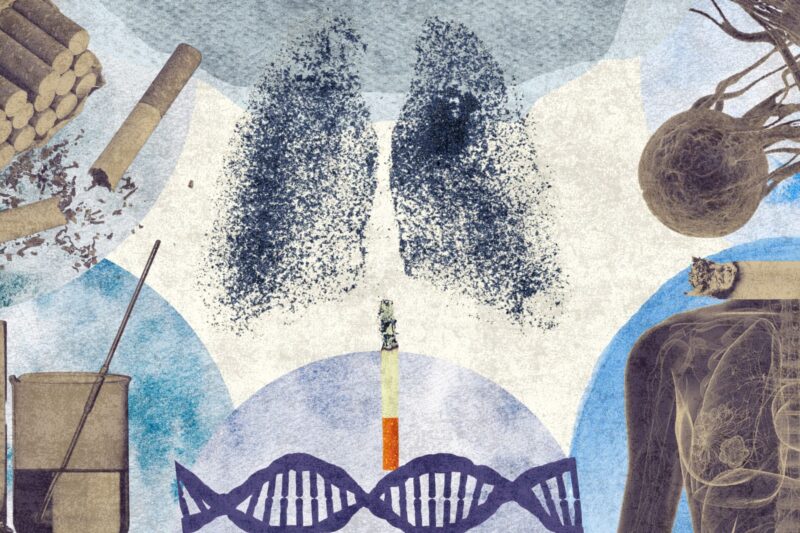 Hiperciencia: ¿Cómo funcionan las “células mutantes” detrás del cáncer de pulmón?