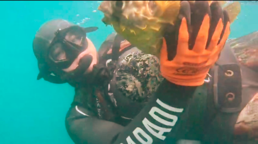raquel-bajo-el-marOK-1024x572 Raquel Corrales, una mujer que caza bajo el mar